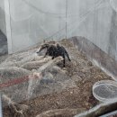 11월[1]: 빠르게 흐르는 시간 속 다시 찾아온 여유 🐌