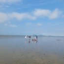 서해전기 - 완도군 노화로 722 | 전북 부안 국립새만금간척 박물관 부안 서해 무료 갯벌 체험 후기 및 준비물