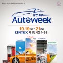 위크위크 스포츠경향