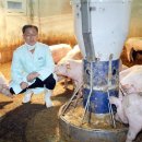대신축사 이미지