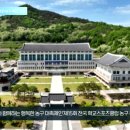 경북교육청 ‘제15회 전국 학교스포츠클럽 농구 축전’ 개최 경북도민방송TV 이미지