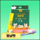 델핀서울지사 이미지