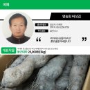 영농원버섯