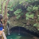 화강황토 이미지