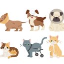 늘곁에동물병원 이미지