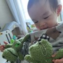 코코래빗 경산하양점 이미지