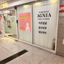 아그니아 이미지