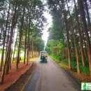 사이프러스CC 이미지