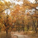 장미원 (산림욕장) 이미지