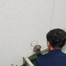 정읍부화장 이미지