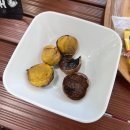 세종농장 | 충남세종대전근교 아기랑 킨더팜 체험농장 후기