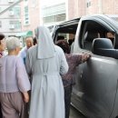 남양토담오리 이미지