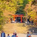 호담목장 이미지