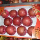 덕암농원 이미지