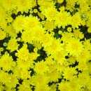 신문화건축사사무소 이미지