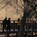 미래1공원 공중화장실 이미지