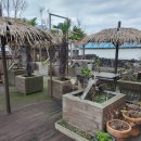 옹포민박 이미지