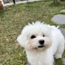 폴앤도기 동남캠퍼스 이미지