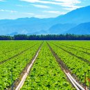 은혜산업 이미지