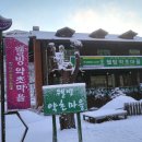 웰빙약초마을 이미지