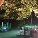 도그엔젤 이미지