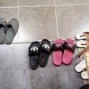 개이쁨샵 이미지