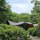 평화강변수목캠핑장 이미지