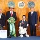 애견코리아 이미지