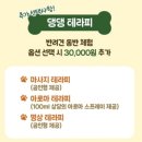 비타민 숲 | 내돈내산 체험 후기! 포레스트 멍하니 걷개! 비타민캠프 후기!