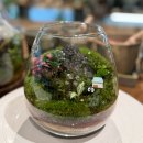 부산광역시 영도구 대교로 | 힐링이 필요할 때, 부산원데이클래스 영도 a.g.t(아제떼) 테라리움 클래스 추천드려요