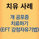 개 공포 치료하기(ft.EFT 감정자유기법) - 최면치료 강남 최면심리상담센터 지안