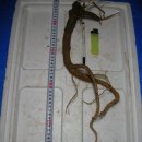 봉곡동142 이미지