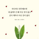 감사365