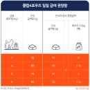 프리미엄캣 | 고양이 사료 추천 클럽4포우즈 프리미엄 어덜트캣 치킨 급여 후기