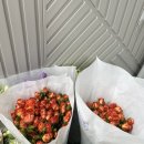 사평대로55길 97-5 이미지