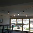 하이펫애견샵