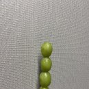 곰돌이탕후루 이미지