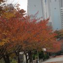 하단초등학교 이미지