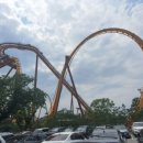 매직카월드 이미지