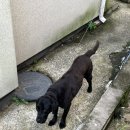 남면 홍현2 화장실 | 남해 다랭이마을 근처 낚시여행 가성비 단체펜션 홍현 솜사탕펜션