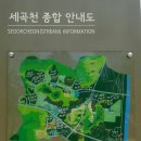 교1세천 이미지