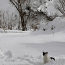 송선생댁 이미지