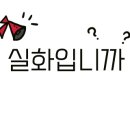 청춘게스트하우스 호스텔 이미지