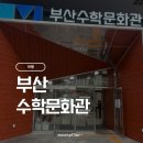 부산수학문화관 | 부산수학문화관 방문 후기/ 초등아이와 가본 체험형 수학 놀이터/ 방학때 가볼만한 곳