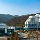 벌교스포츠센터 | 금호화순스파리조트 (리조트)(대한민국) 특가_외 추천 인기숙소