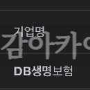 디비손해보험 주식회사 이미지