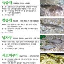 우리고기 이미지