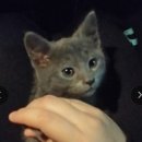 예산 위드엔젤 이미지