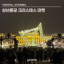 궁 | 2025 비엔나 쇤브룬 궁 크리스마스 마켓 방문 후기 🎄⭐