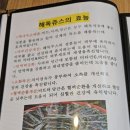 홍삼민물건강원 | 부산장어즙 | 양산민물 | 보양 장어즙 추천